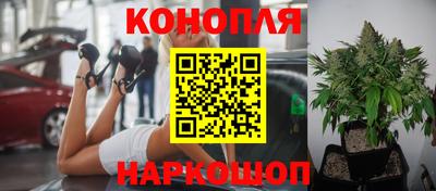 гидропоника Бугуруслан