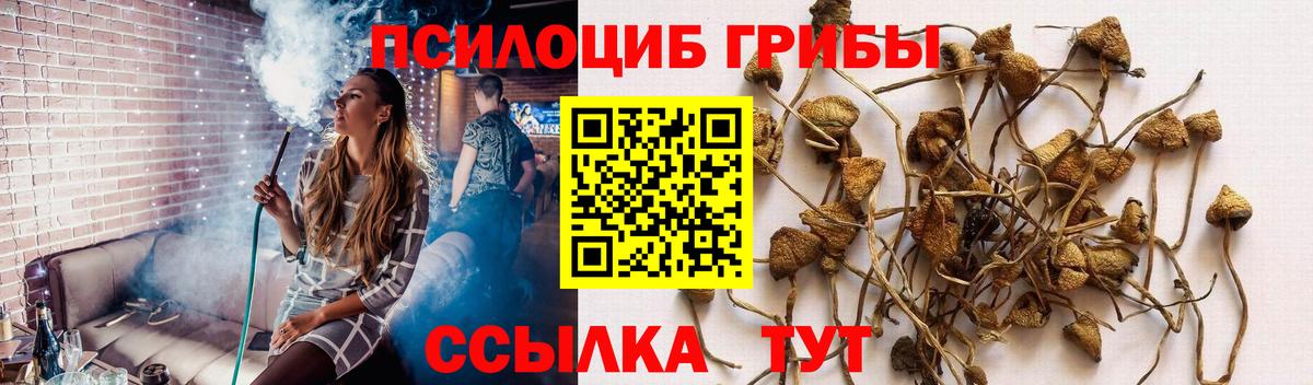 Галлюциногенные грибы мухоморы  Галлюциногенные грибы ЛСД  Ленинск-Кузнецкий  Вход с VPN 
